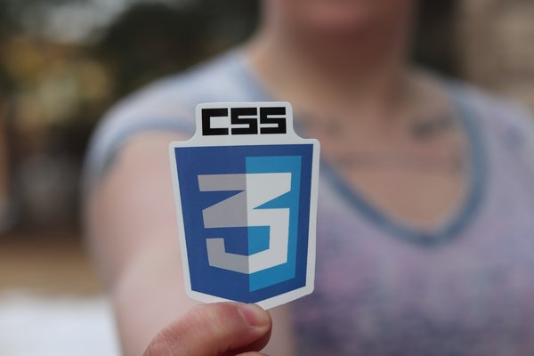 CSS3 : Astuces, techniques et ressources pour sublimer vos sites web