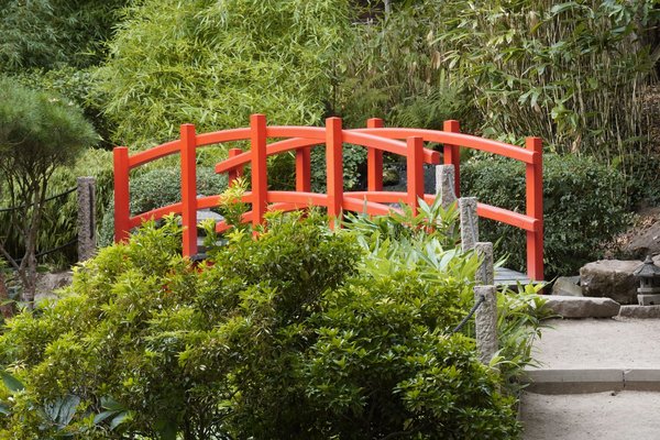 les défis du vieillissement de la population pour la société et les mesures d'accompagnement nécessaires